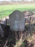 image of grave number 197560